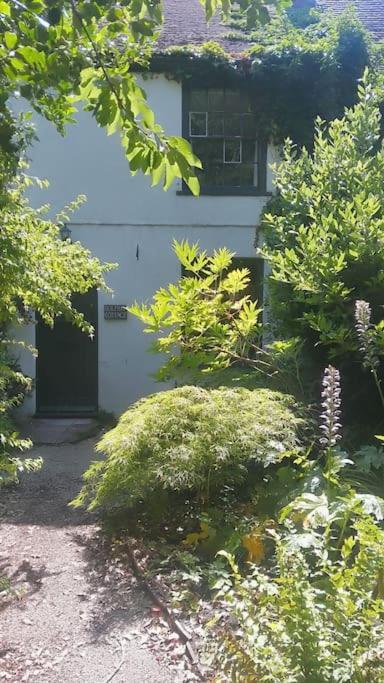 Holiday home Cosy Cottage+ Secluded Garden