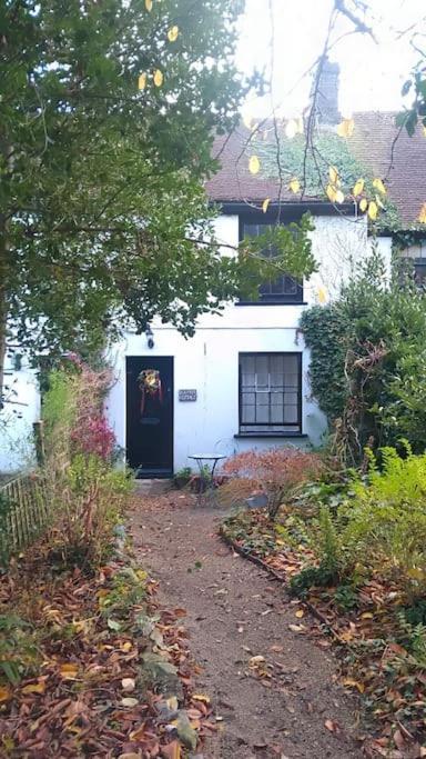 Cosy Cottage+ Secluded Garden *